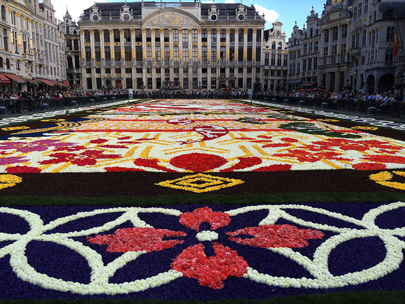Flower Carpet 2016